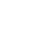 TikTok Icon